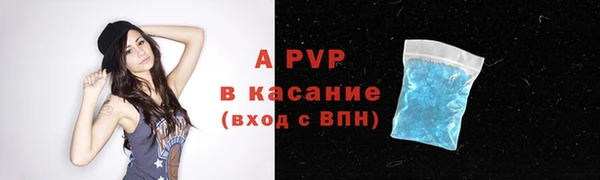 spice Новодвинск