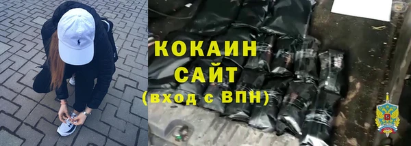 хмурый Новозыбков
