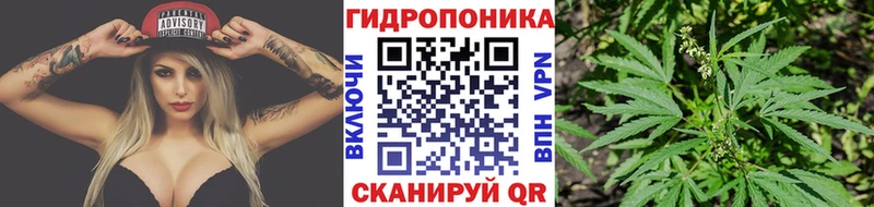 Купить  Кузнецк  Бошки Шишки гибрид 